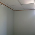 Office paint - before